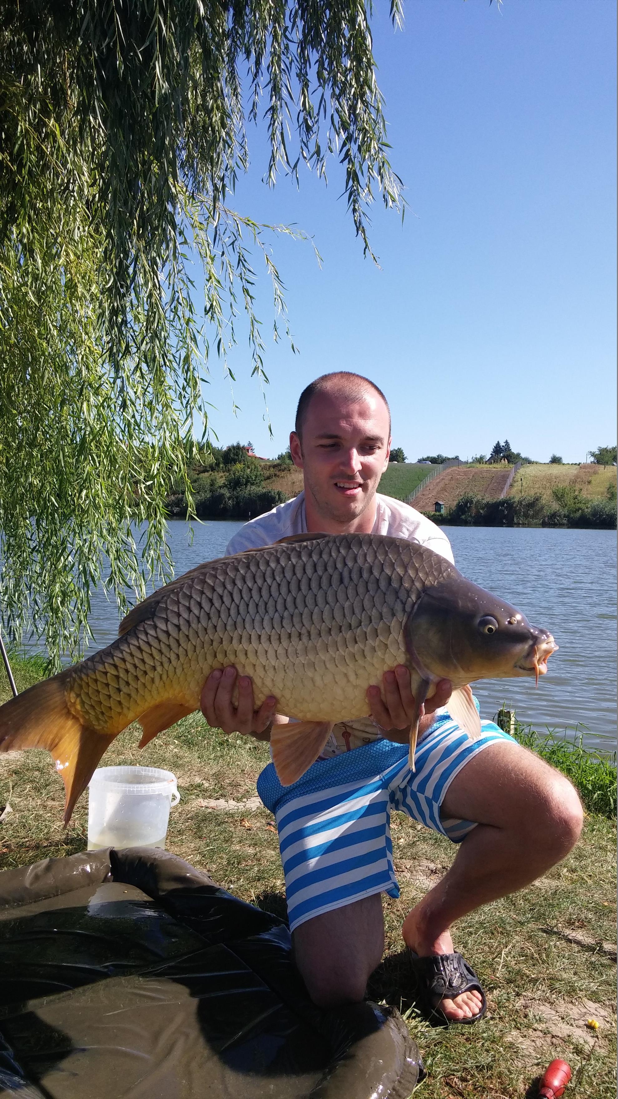 MV2 1 sept. 2015 - 2015090115443611.jpg